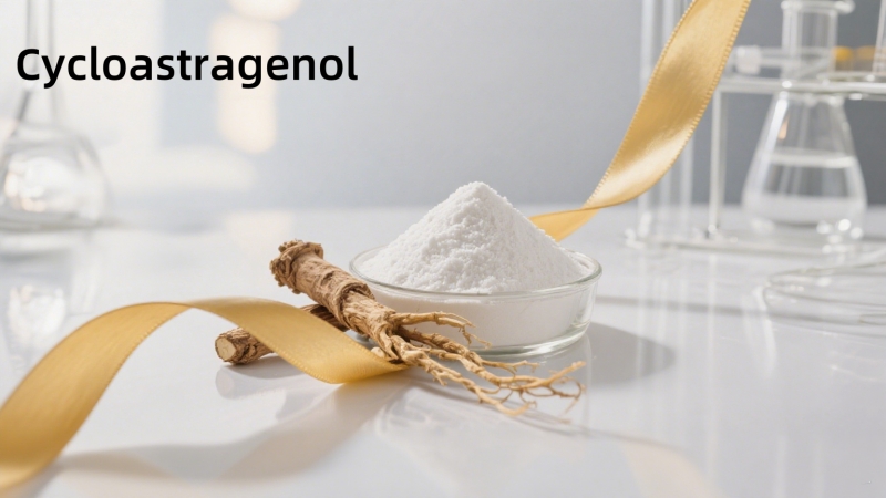 Astragalus Extract – Cycloastragenol: A Valuable Ingredient for Health Food Formulations