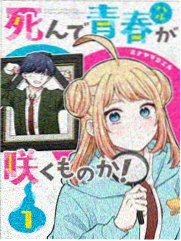 IN 风の便り